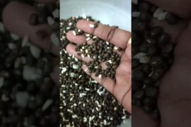 healthy breakfast recipe 1 #vulunthankali #breakfast #healthy