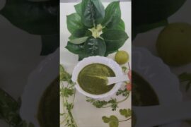 Manish Acharya Ji's healthy Pudina Amla Green Chutney Recipe #ytshorts #shorts #acharyamanishji