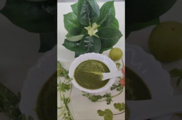 Manish Acharya Ji's healthy Pudina Amla Green Chutney Recipe #ytshorts #shorts #acharyamanishji