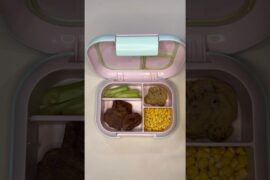 Kids Lunch Box Ideas That Are Healthy & Fun