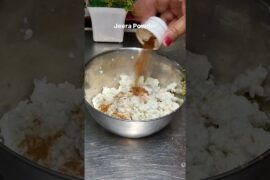 protein rich thecha paneer tikki #amazing #tastyindia #recipe #cooking #delicious #healthy #shorts