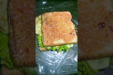 crispy healthy sandwich/rainbow sandwich/easy sandwich #ramadan #trending #viral #recipe #reels#vlog