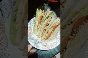 crispy healthy sandwich/rainbow sandwich,Cold sandwich #ramadan #trending #explore #reels #recipe