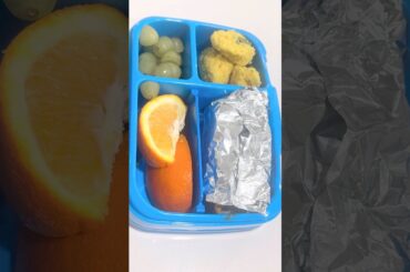 Best lunchbox ideas #lunchboxideas #lunch #packing #viralshort #shorts #tiffin #tiffinbox #food
