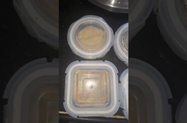 Office tiffin #tiffin #food #tiffinrecipe #lunchbox #office