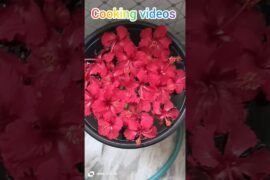 Morning Cooking videos|| healthy lunch recipes|| Subscribe # morning routine||