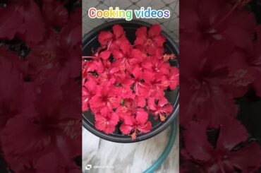 Morning Cooking videos|| healthy lunch recipes|| Subscribe # morning routine||