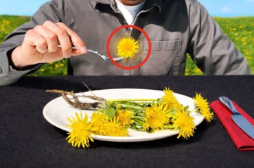 I Tested 3 Surprising Ways to Eat Dandelions
