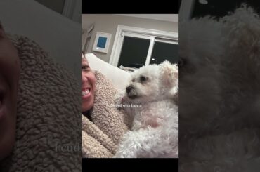 Dinner rolls and regulating my nervous system