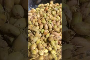 chinnanati ganapakallu #trending #reels #snacks#healthy snacks#viralshort