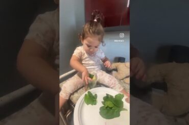 Healthy Breakfast Shake Recipe!