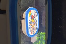 kids snacks box idea #kidssnacksbox #snacksbox #snacks #kidssnacksboxidea #snacksboxidea