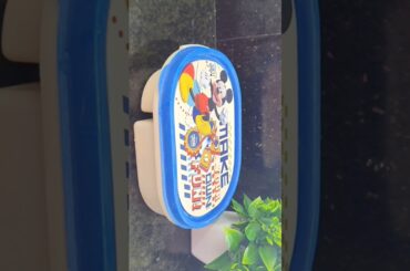 kids snacks box idea #kidssnacksbox #snacksbox #snacks #kidssnacksboxidea #snacksboxidea