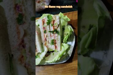 No Gas veg healthy breakfast recipes/Healthy veg sandwich recipe #sandwichrecipe #nogasrecipe