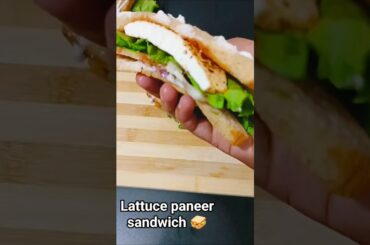 “Easy Paneer Lettuce Sandwich | Quick & Tasty Recipe” #youtubeshorts #food #recipe
