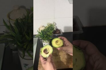 Healthy Avocado Sandwich Recipe in minutes !! #food #healthyfood #sandwich