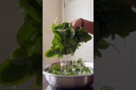 Lunch recipes|palakura iguru#shorts#shortsfeed #village #food #yummy #viral #healthy #palak #vantalu