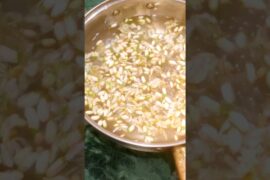 Drumstick Flower Pakoda Recipe | Sahjan Phool Pakora | Crispy & Healthy Snack