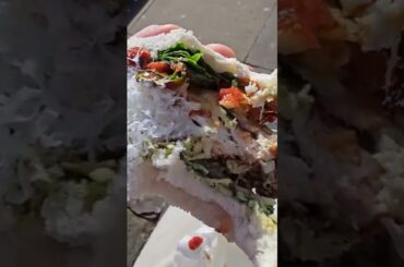 The Parmageddon Sandwich - Its MASSIVE