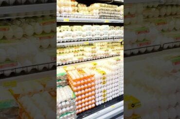 menuplan #shorts #food #menu #menuplanning #lunch #dinner #breakfast #tamil #balanceddiet #healthy