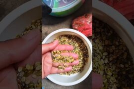 Easy Lentil Curry Recipe | Healthy Dinner Idea #shorts