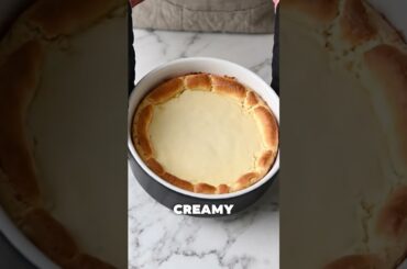 Viral 2-Ingredient Protein Cheesecake | Creamy Yogurt Dessert #easyrecipe