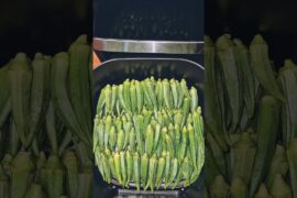 Unique Bhindi Recipe In Airfryer #bhindi #shortsvideo #recipe #okra
