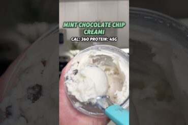 Mint Chocolate Chip Ninja Creami Recipe for Weight Loss!