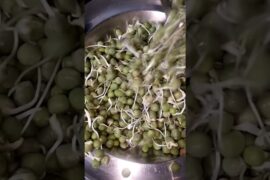 Ankurit Matar Aloo Rolls Recipe | Healthy Sprouts Snack | Crispy Veg Rolls | Ramzan Special#shorts#