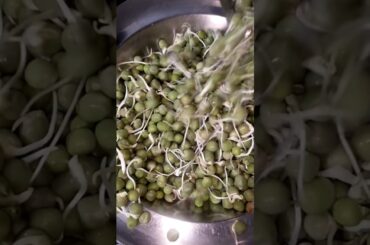 Ankurit Matar Aloo Rolls Recipe | Healthy Sprouts Snack | Crispy Veg Rolls | Ramzan Special#shorts#