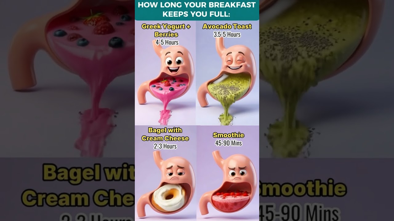 Breakfast Foods Ranked by Fullness #health #shorts Breakfast Foods Ranked by Fullness #health #shorts