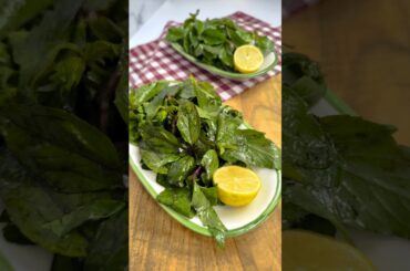 Basil Salad Recipe #basil #healthysalad