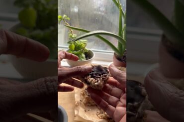 Chocolate Rice Puffs Bar | Easy No-Bake Healthy Snack Recipe