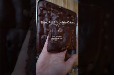 The most moist and delicious low calorie chocolate cake EVER (150 cals per slice)