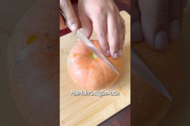 Prasadam Series Episode 06 #shorts #srilekhavantillu