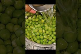 Healthy breakfast recipes #shortsfeed #food #trending #shortvideo #short #shortsviral ##shots