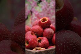 Village Style Hawthorn Candy  | Healthy Desi Sweet Recipe #villagecooking #villagefood