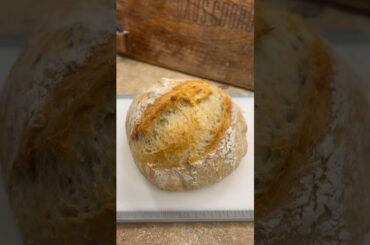 No Knead Dutch Oven Crusty Bread, no sourdough starter and only 4 ingredients #bread #homemade