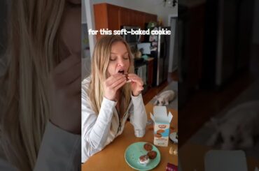 Homemade Ice Cream Sandwich