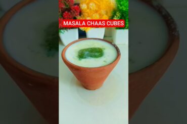 magic masala chaas cubes recipe by gym coach nitesh soni#summer drink#shorts
