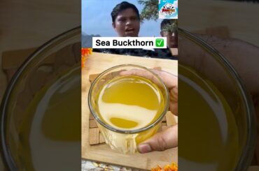 Sea Buckthorn Benefits By Balkrishna #shorts #trending #viralvideo #recipe #remedy #seabuckthorn #yt
