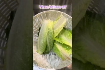 #protein #food #cooking #recipe #lowcarbdiet #highprotein #easyrecipe #foodie #lowcarb