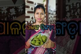 Healthy with tasty singada #palanga singada #recipe @papakiladlyodiavlog