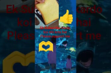 kids special |Quick N easy HealthySandwich for kids lunchbox |Breakfast | #healthy #lunchbox #tiffin