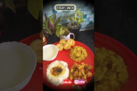 Lunch Series E-8|Self care|Healthy lunch idea#lunch#ytshorts#dietplan#lunchmenu#mealplan#todaylunch