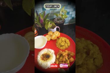 Lunch Series E-8|Self care|Healthy lunch idea#lunch#ytshorts#dietplan#lunchmenu#mealplan#todaylunch