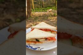 Tasty and Healthy Homemade Sandwich Recipe #shorts #food #recipe #sandwich #healthybreakfast