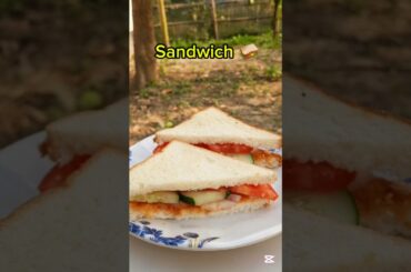 Tasty and Healthy Homemade Sandwich Recipe #shorts #food #recipe #sandwich #healthybreakfast