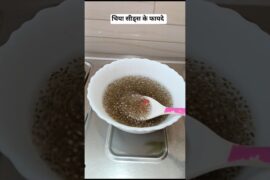 Weight Loss Drink | Fat Cutter Drink | #Sabja Seeds Drink | Basil Seeds Drink | Healthy Drink #shots