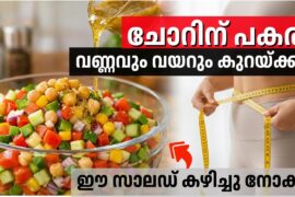 HIGH PROTEIN WEIGHT LOSS SALAD | HEALTHY SALAD | REVATHY’S ROOTS AND ROUTES |